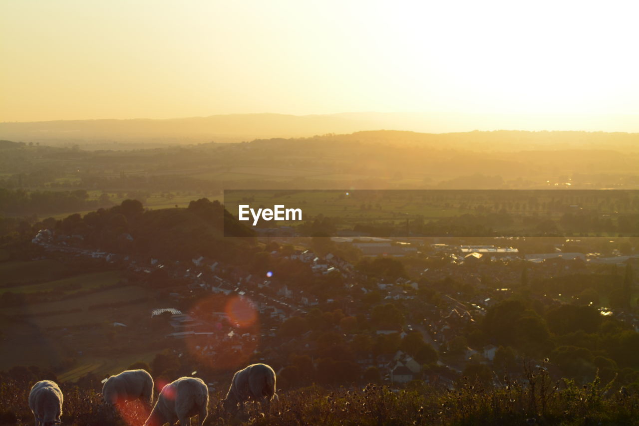 High angle view of field against sky during sunset