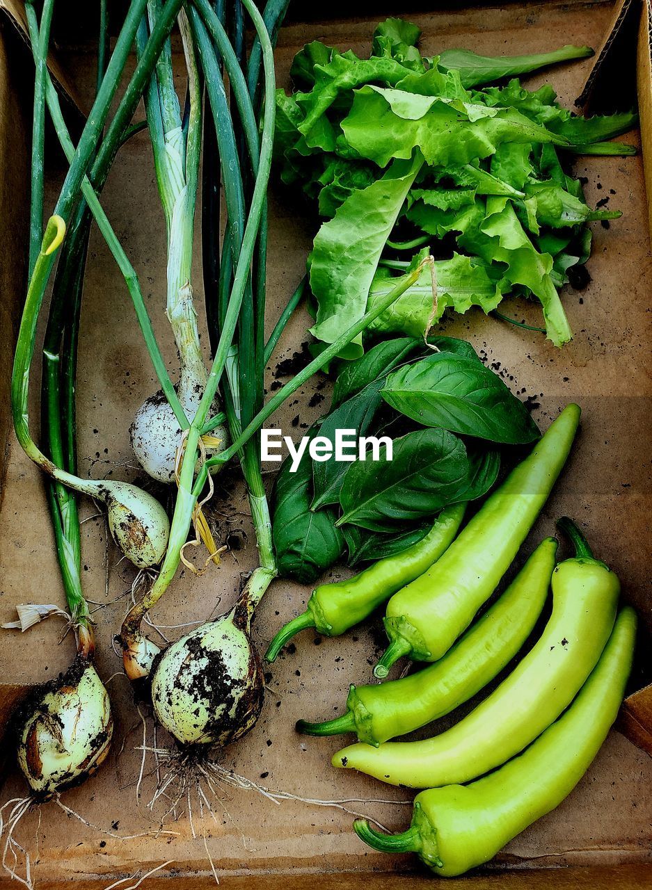 Vegetables from garden in a cardboard flat