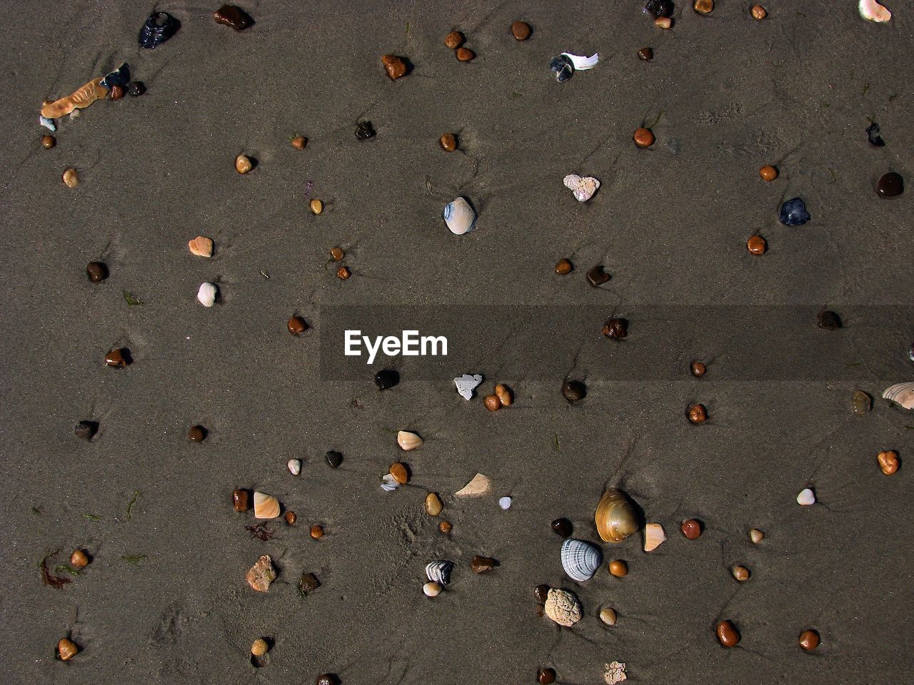 HIGH ANGLE VIEW OF SANDY BEACH