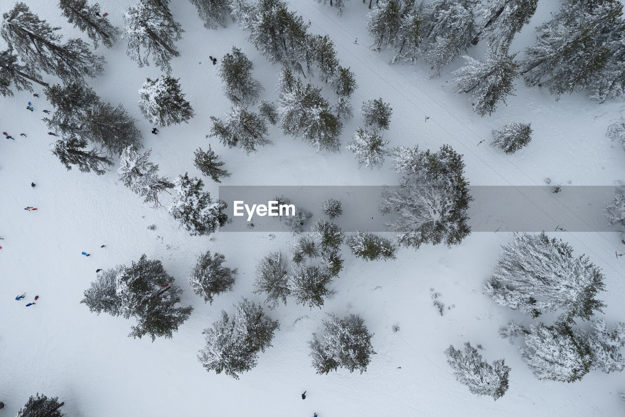 Drone aerial scenery of mountain snowy forest and people playing in snow. wintertime season