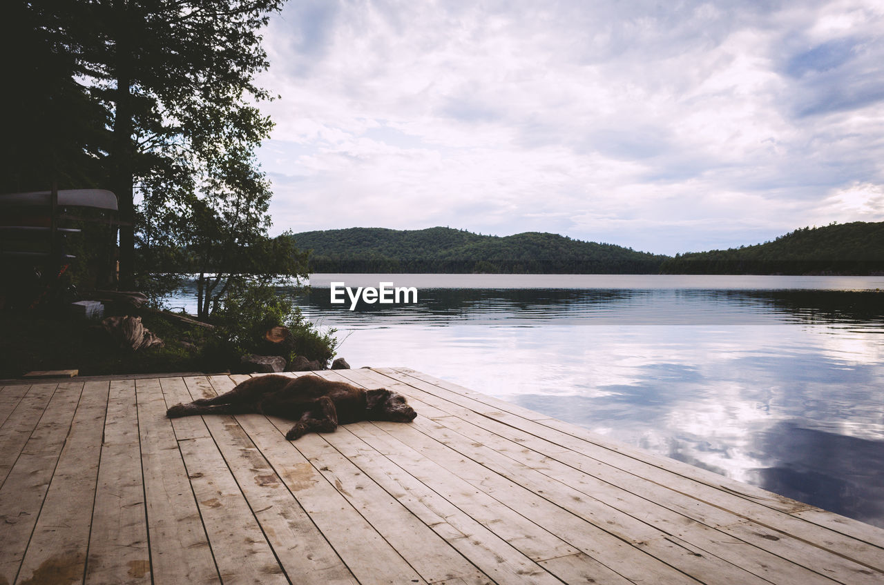 SCENIC VIEW OF LAKE