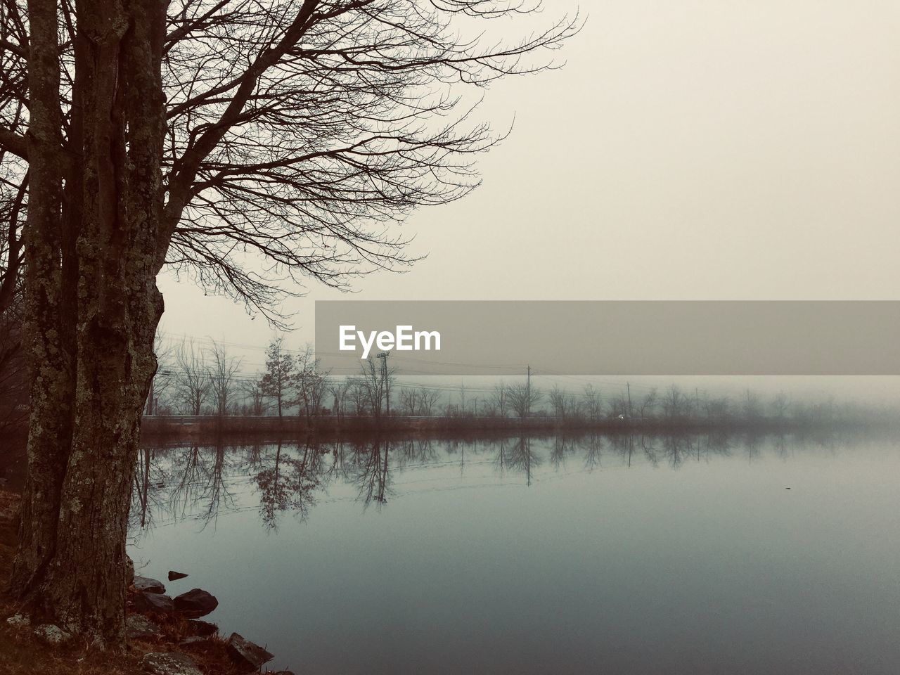 BARE TREES BY LAKE AGAINST SKY