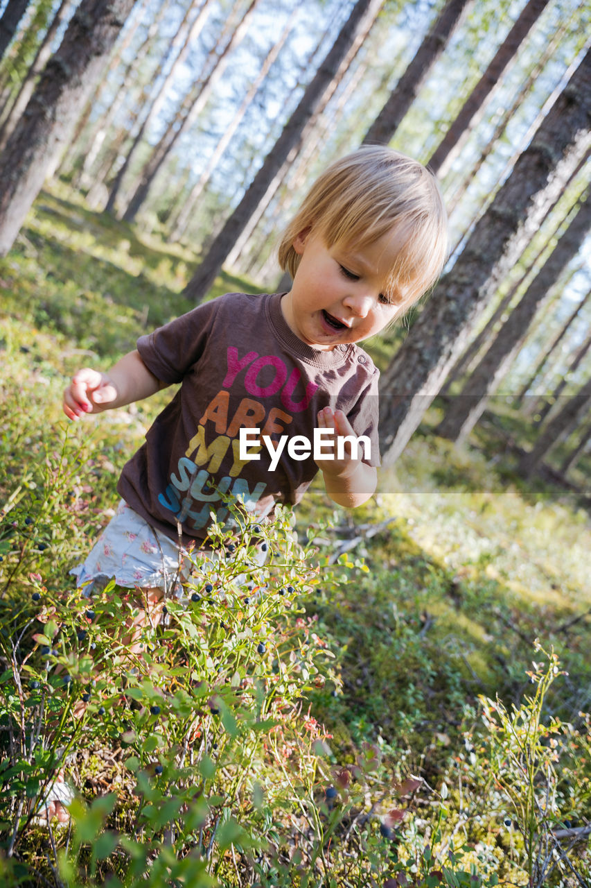 childhood, child, one person, grass, plant, blond hair, flower, nature, casual clothing, day, leisure activity, toddler, spring, lifestyles, full length, autumn, outdoors, looking, innocence, green, female, women, lawn, smiling, front view, garden, tree, cute, emotion, men, holding, sunlight, leaf, happiness, looking down, person, baby, growth, food, forest, portrait, food and drink, standing, land, clothing, woodland, field