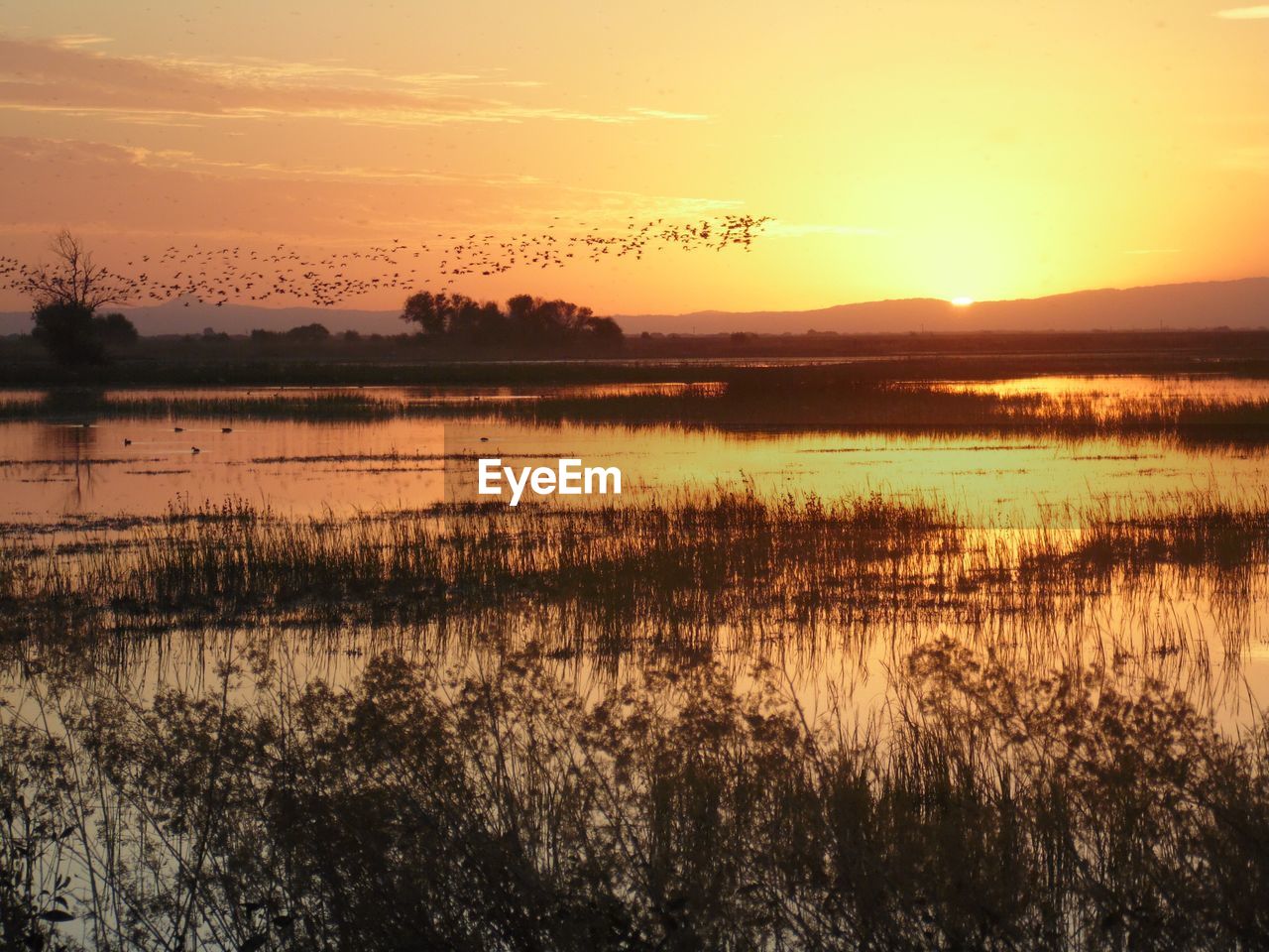 Scenic view of lake against sky during sunset