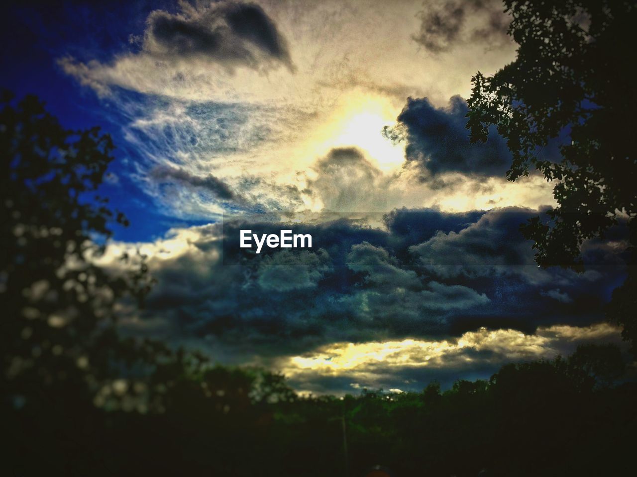 SILHOUETTE OF TREES AGAINST CLOUDY SKY