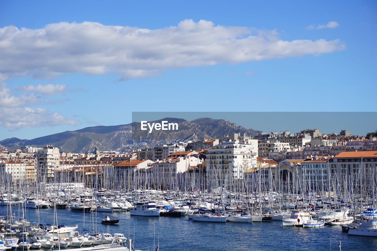 Sailboats moored in harbor by city against sky