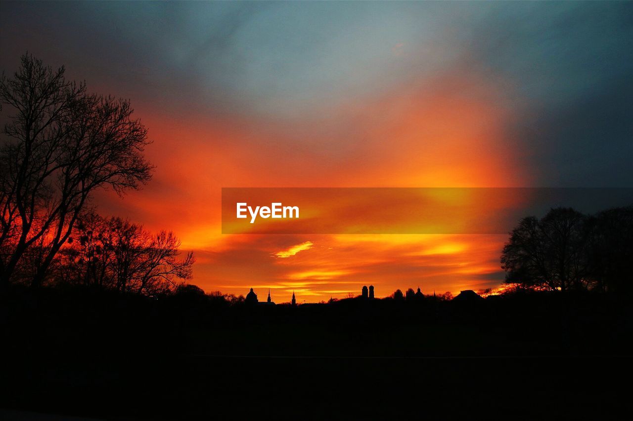 SCENIC VIEW OF SILHOUETTE TREES AGAINST ORANGE SKY