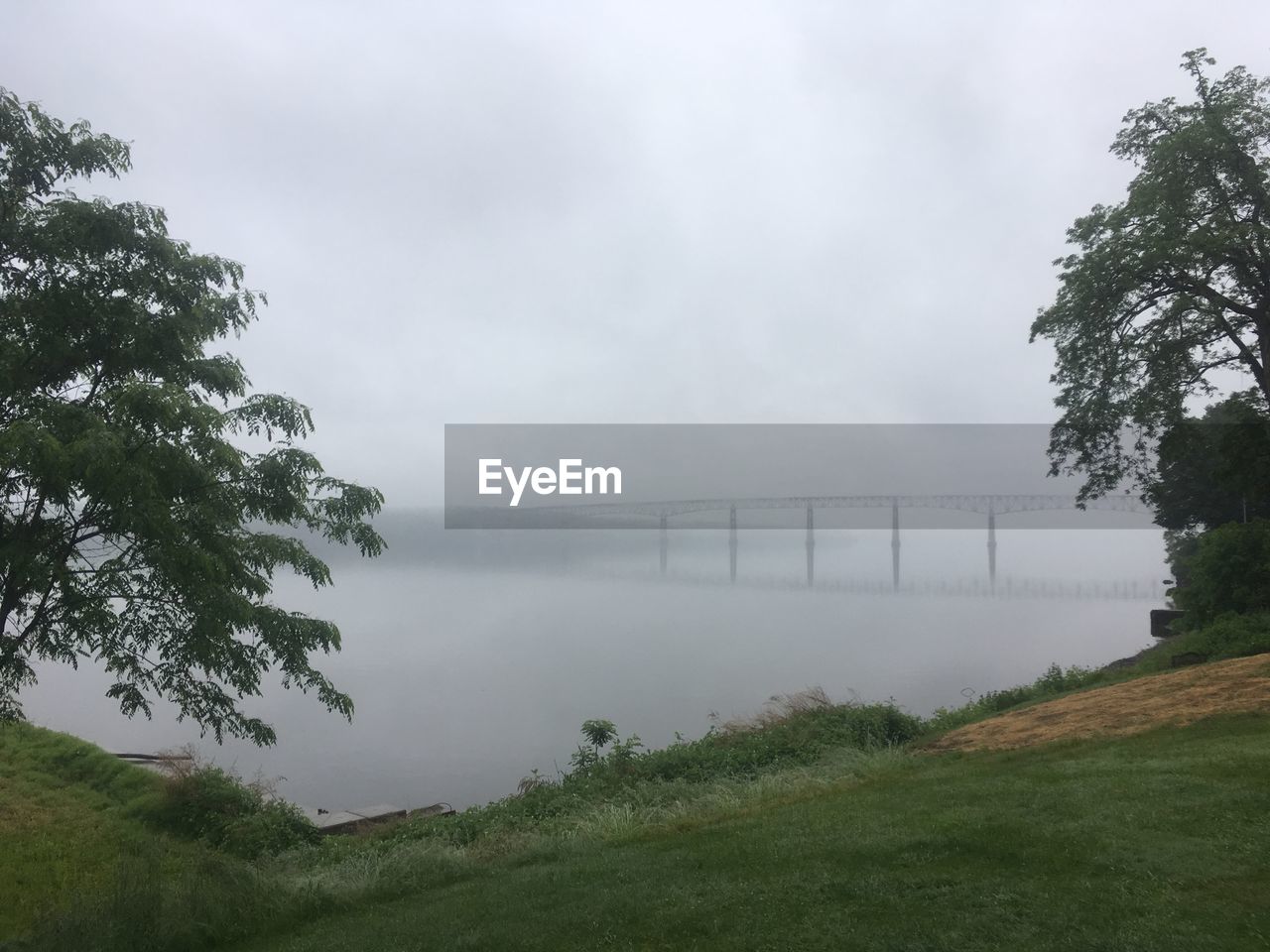 SCENIC VIEW OF TREE BY LAKE AGAINST SKY