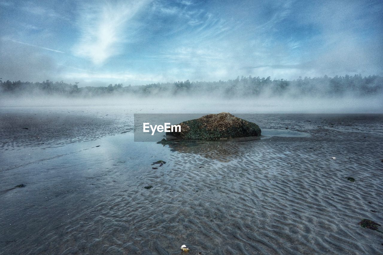 Scenic view of beach in foggy weather