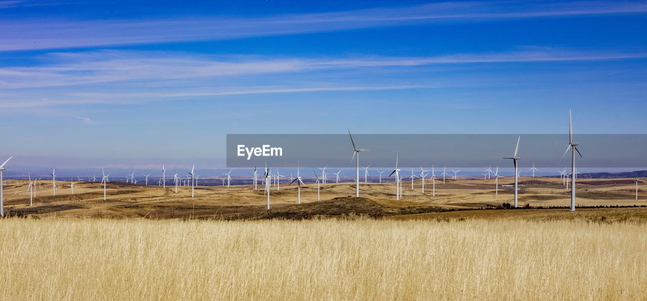 Wind turbines in a field with clear sky