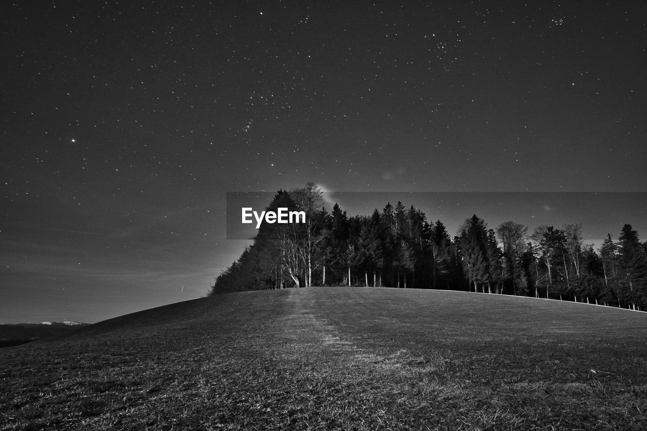 Trees on field against sky at night