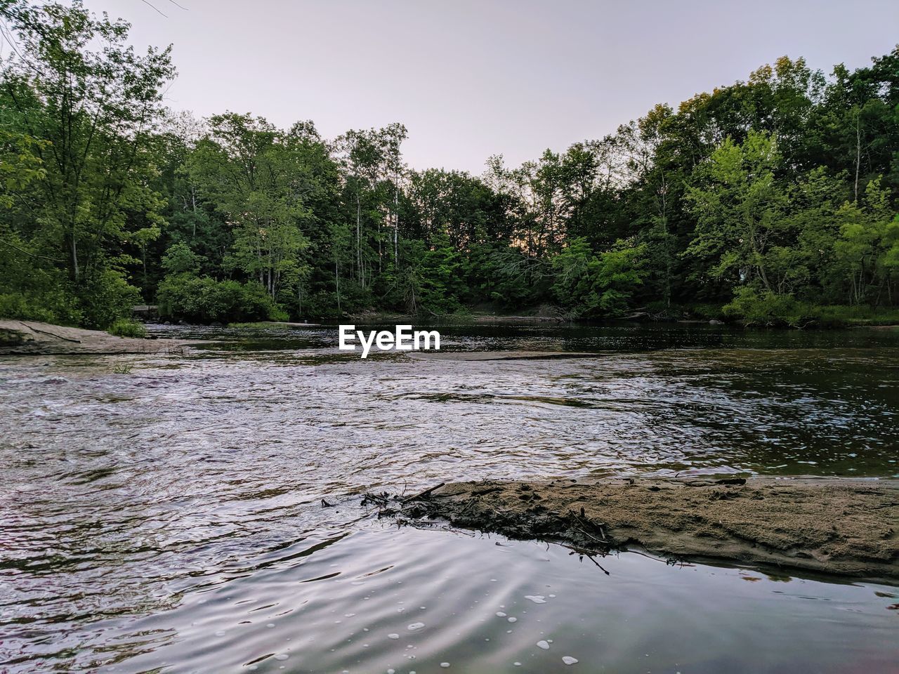 SCENIC VIEW OF RIVER FLOWING AMIDST TREES AGAINST SKY