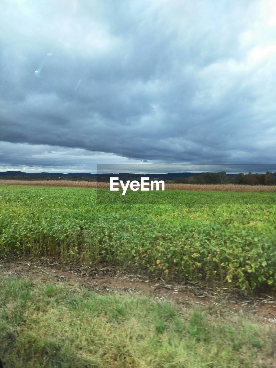 SCENIC VIEW OF RURAL LANDSCAPE