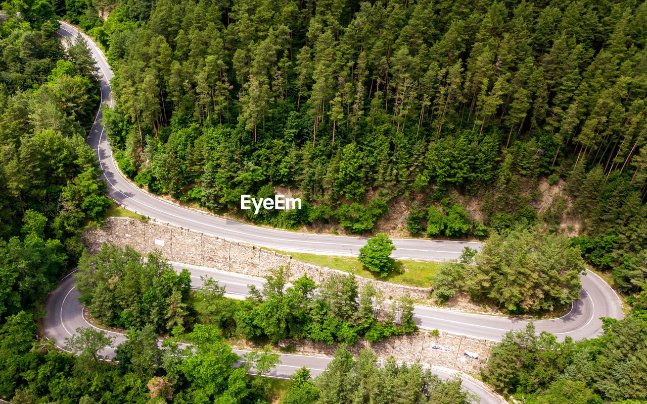 HIGH ANGLE VIEW OF ROAD PASSING THROUGH TREES