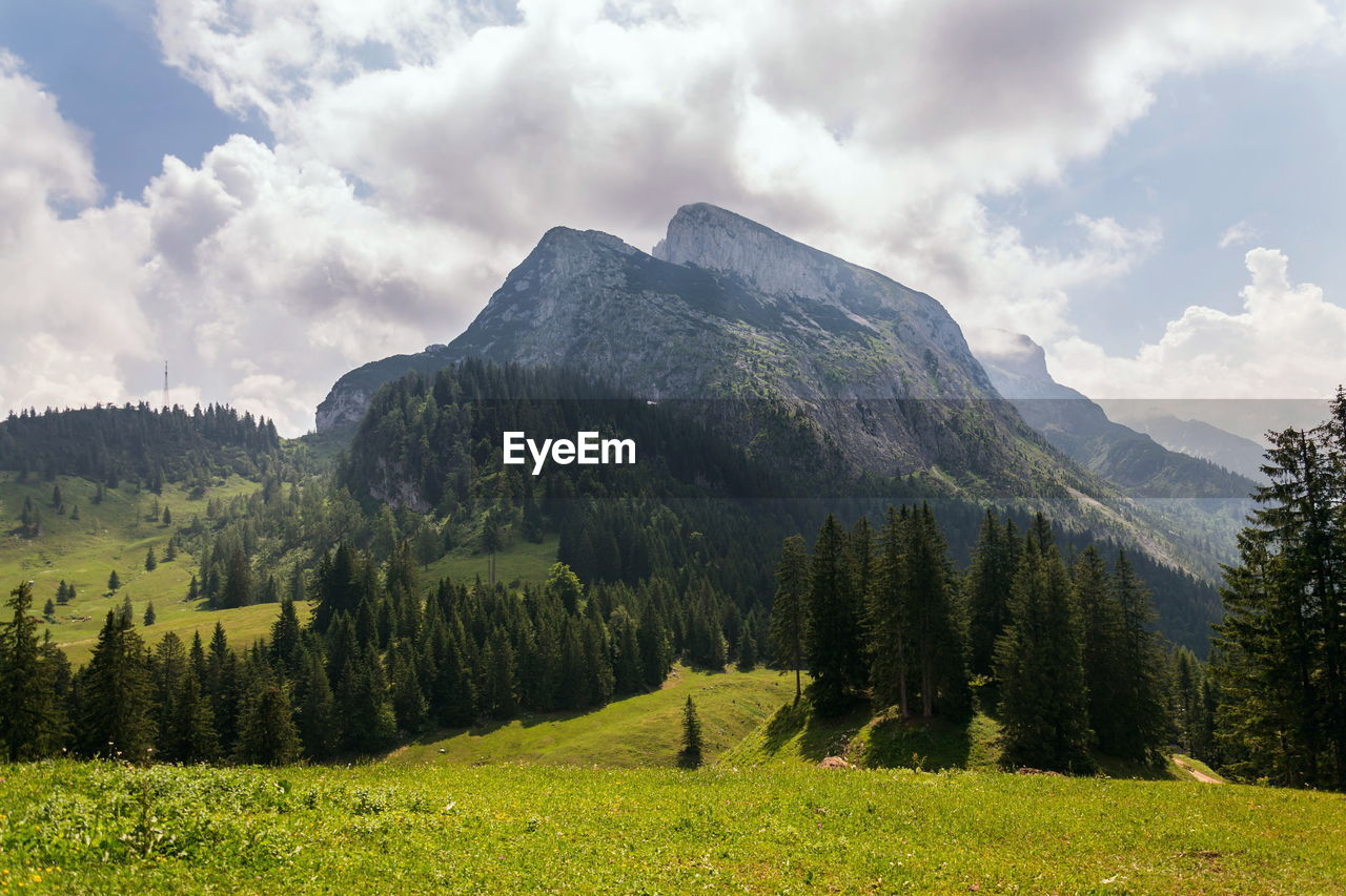 SCENIC VIEW OF GREEN LANDSCAPE AGAINST SKY