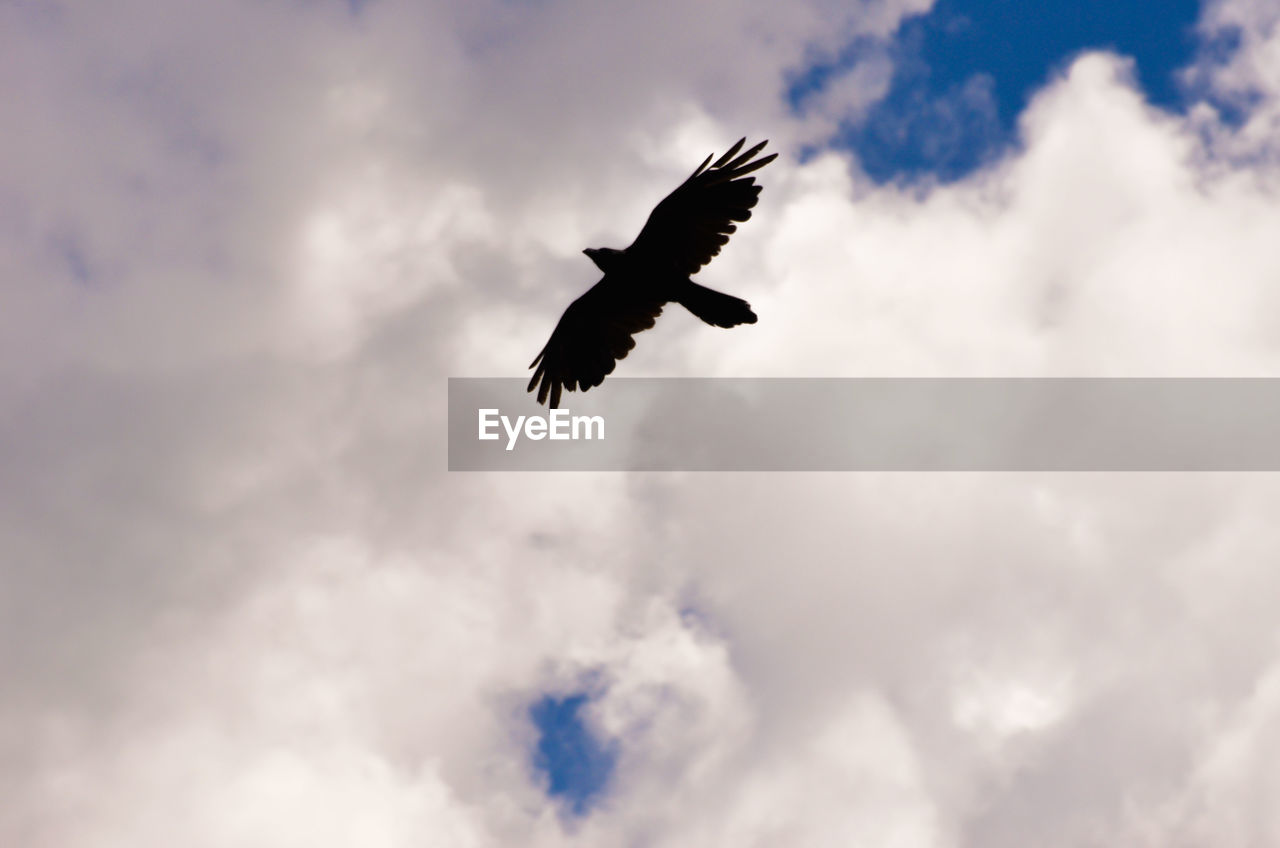 LOW ANGLE VIEW OF AIRPLANE FLYING IN SKY