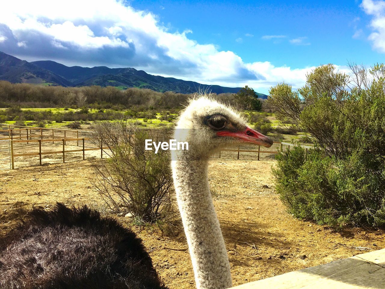 Fence on field against cloudy sky