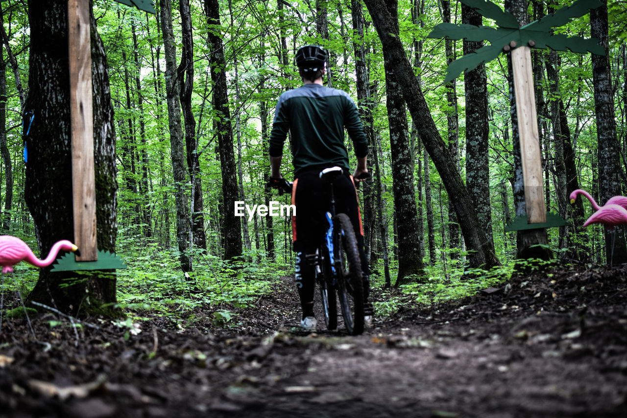 Rear view of man with bicycle standing in forest