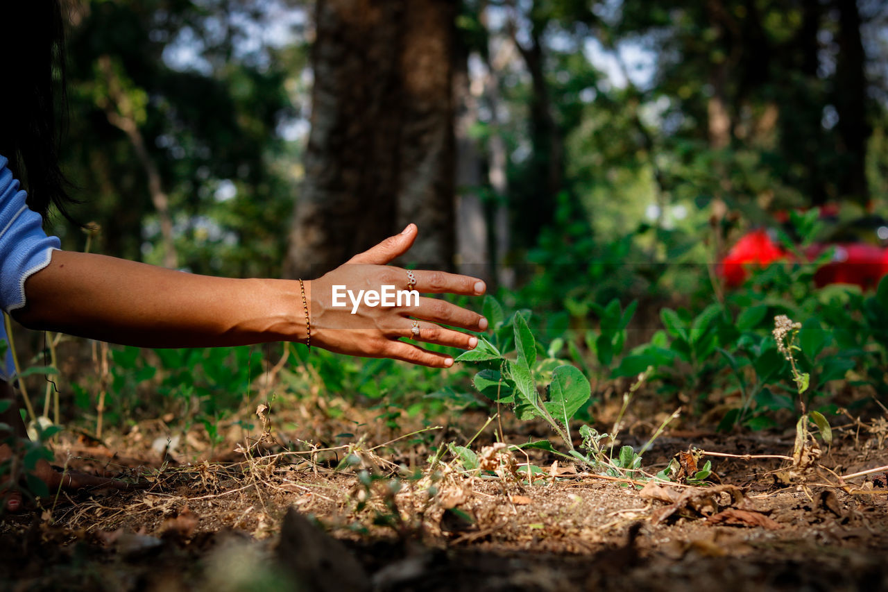 Cropped hand of woman touching plants