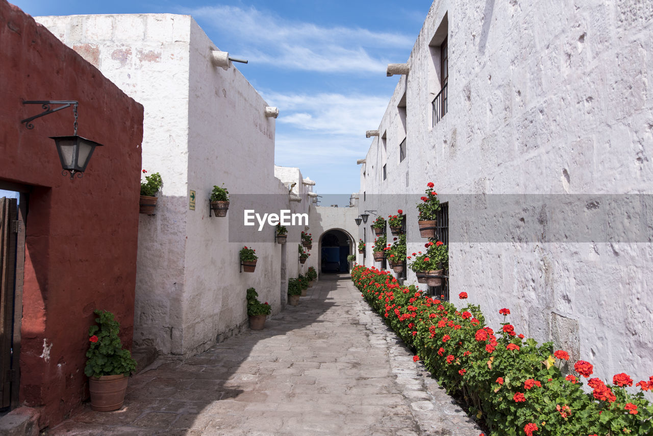 Narrow alley framed by red flowers amidst buildings in city arequipa peru 