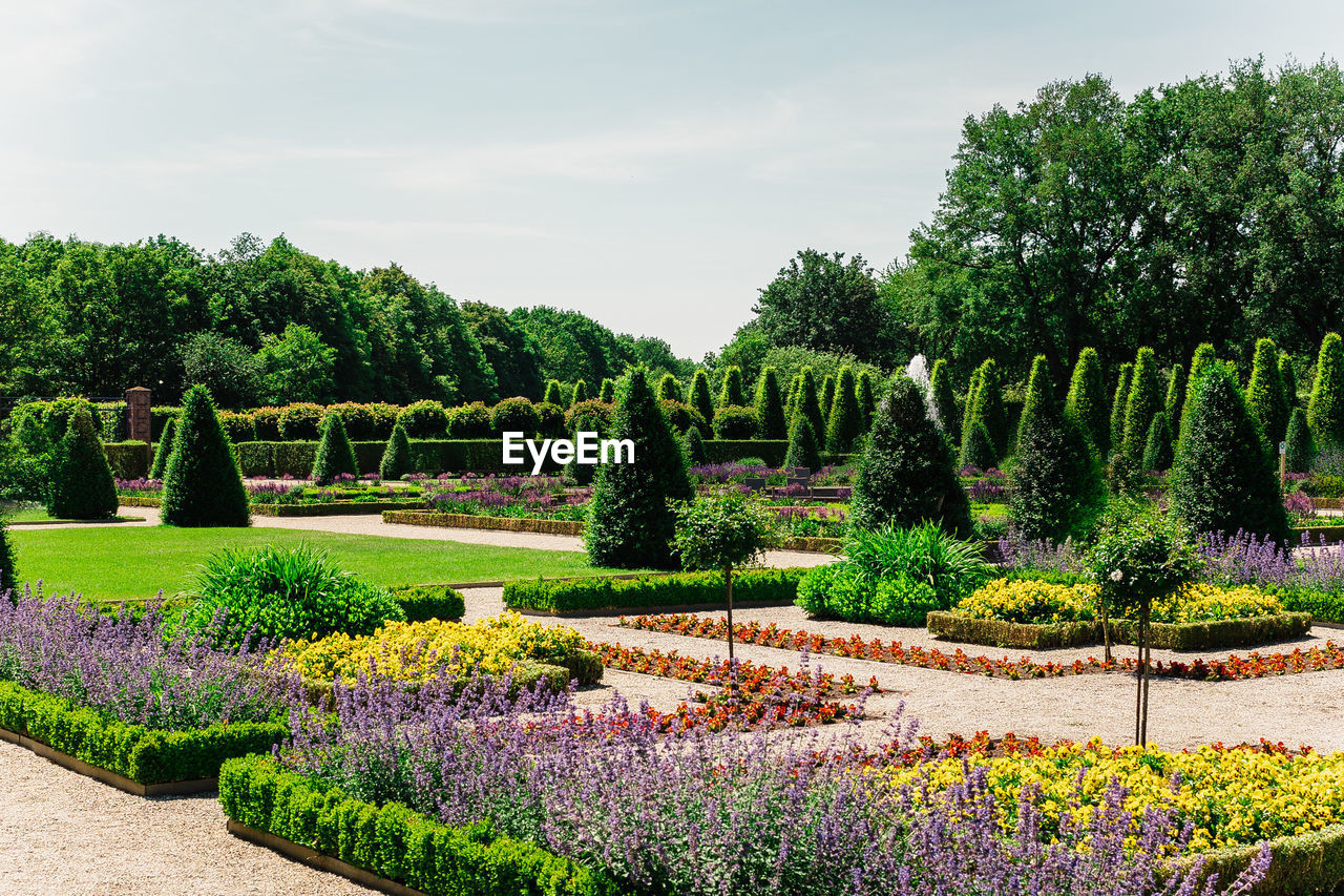 VIEW OF FLOWERING PLANTS IN GARDEN