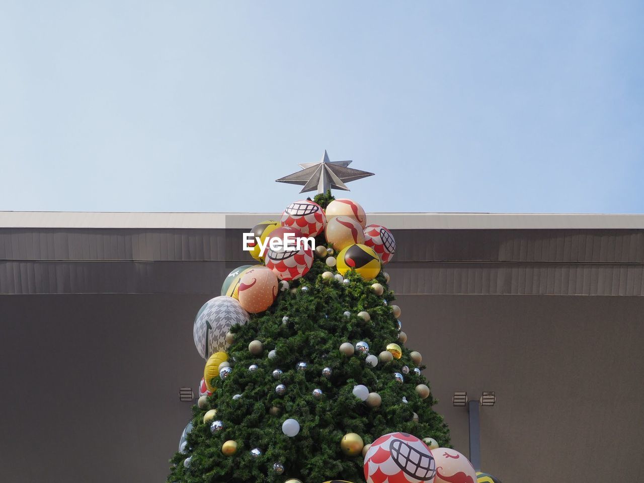 GIRL HOLDING CHRISTMAS TREE AGAINST SKY