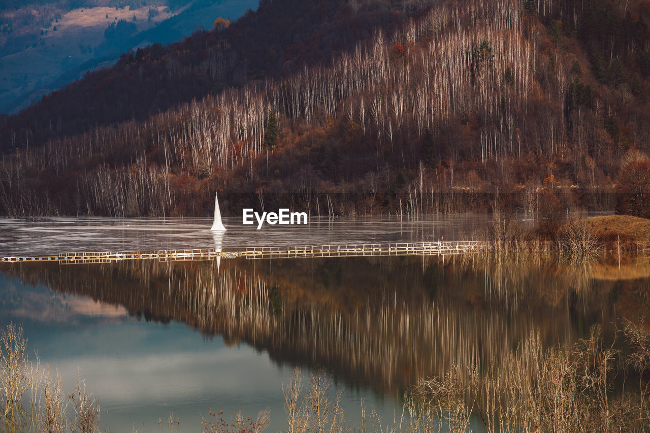 View of birds in lake