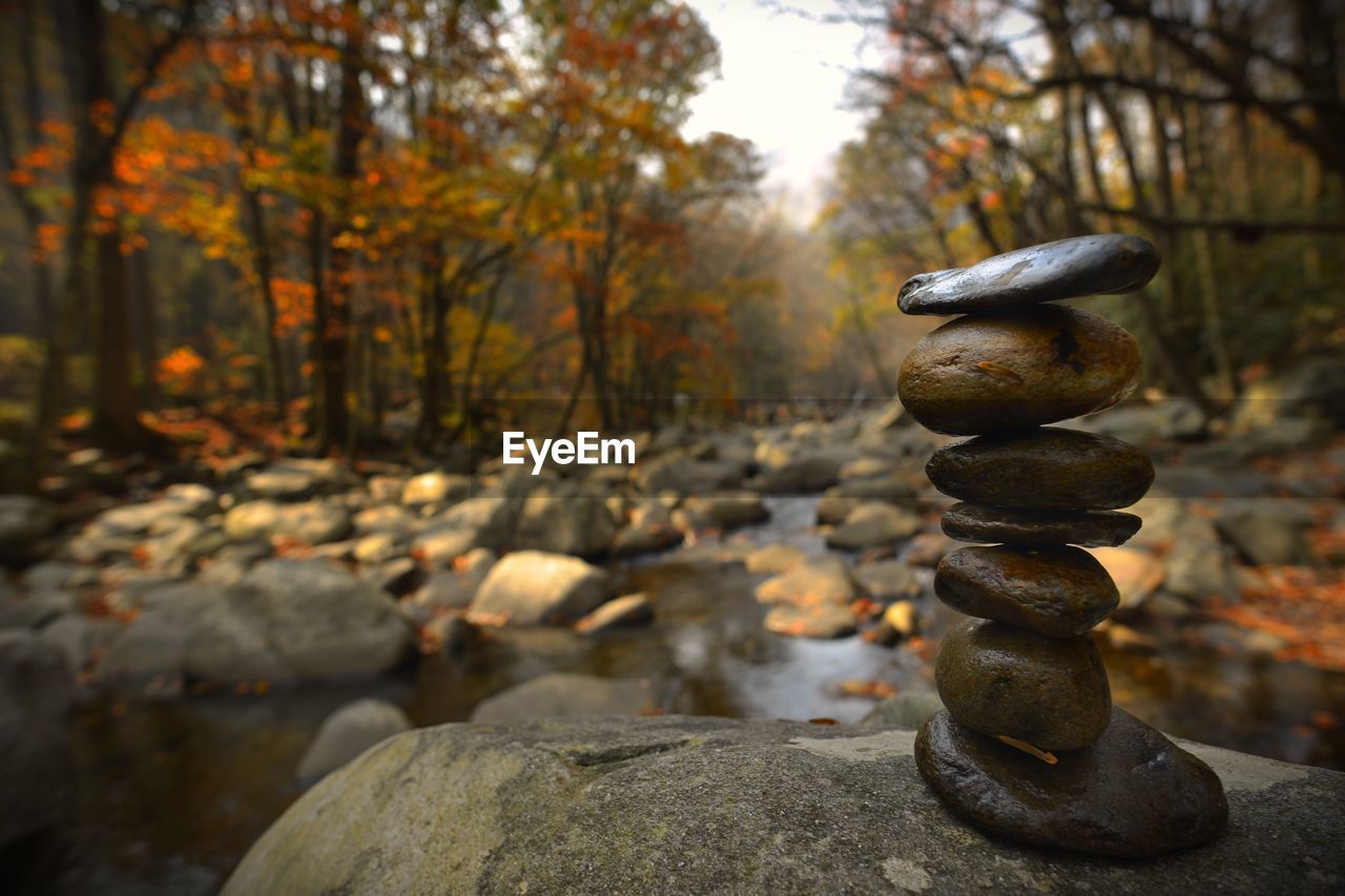 Stones on rock against trees