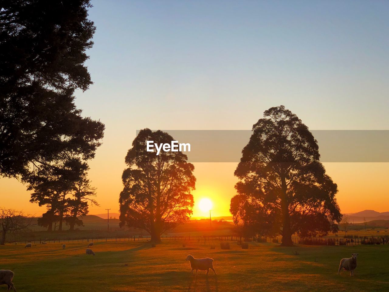 Early morning farm sunrise scene