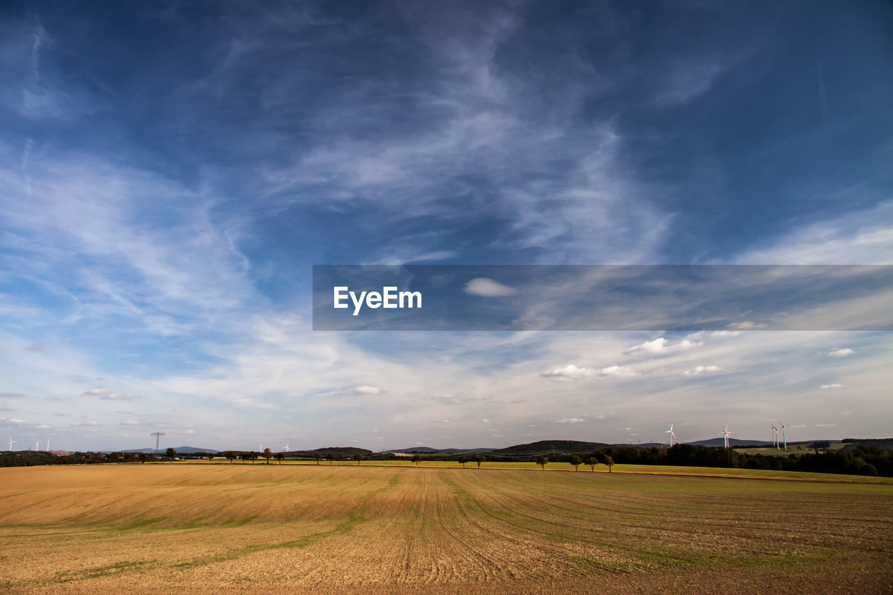 FIELD AGAINST SKY