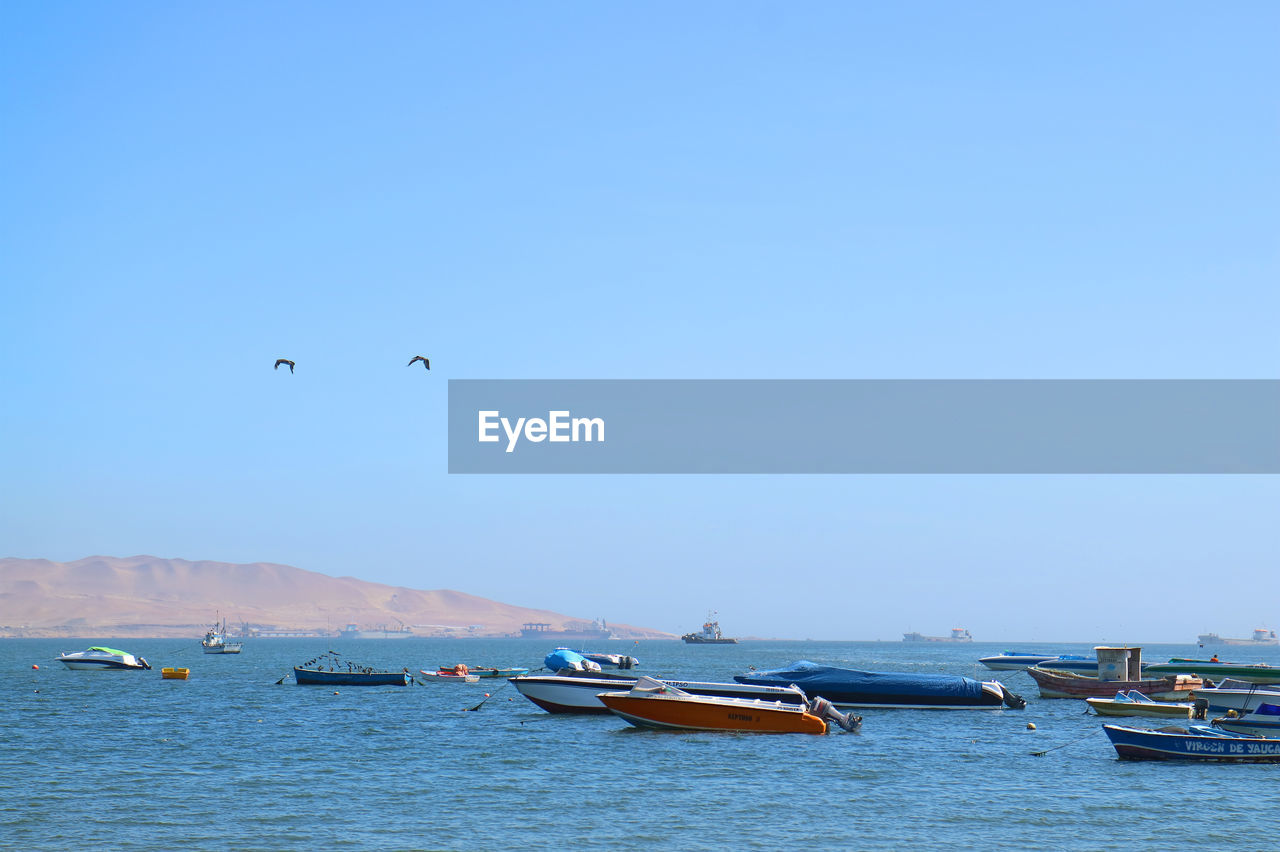 Two birds flying over many colorful fishing boats at paracas bay, ica region, peru, south america