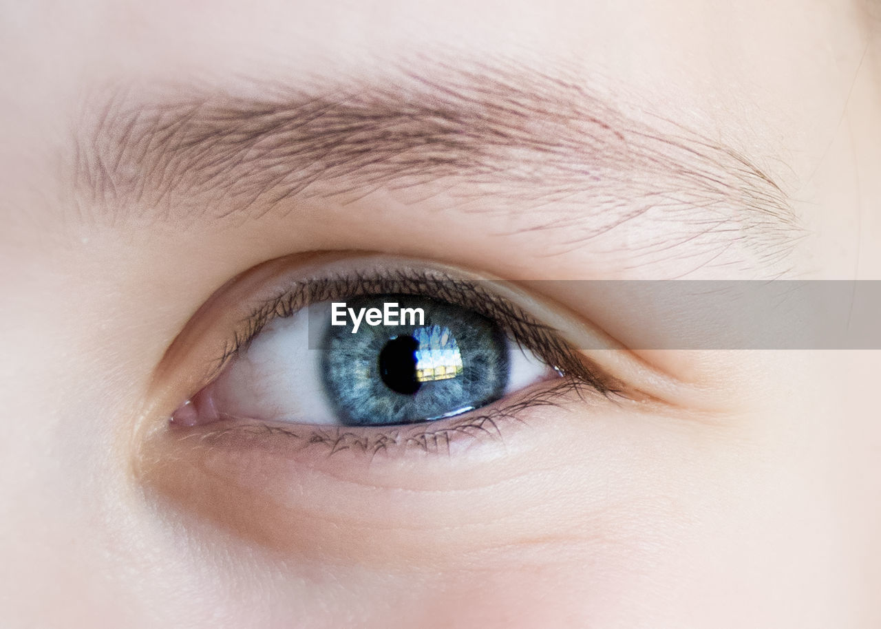 Blue eye of a child closeup,look, eyelashes, iris, vision,
