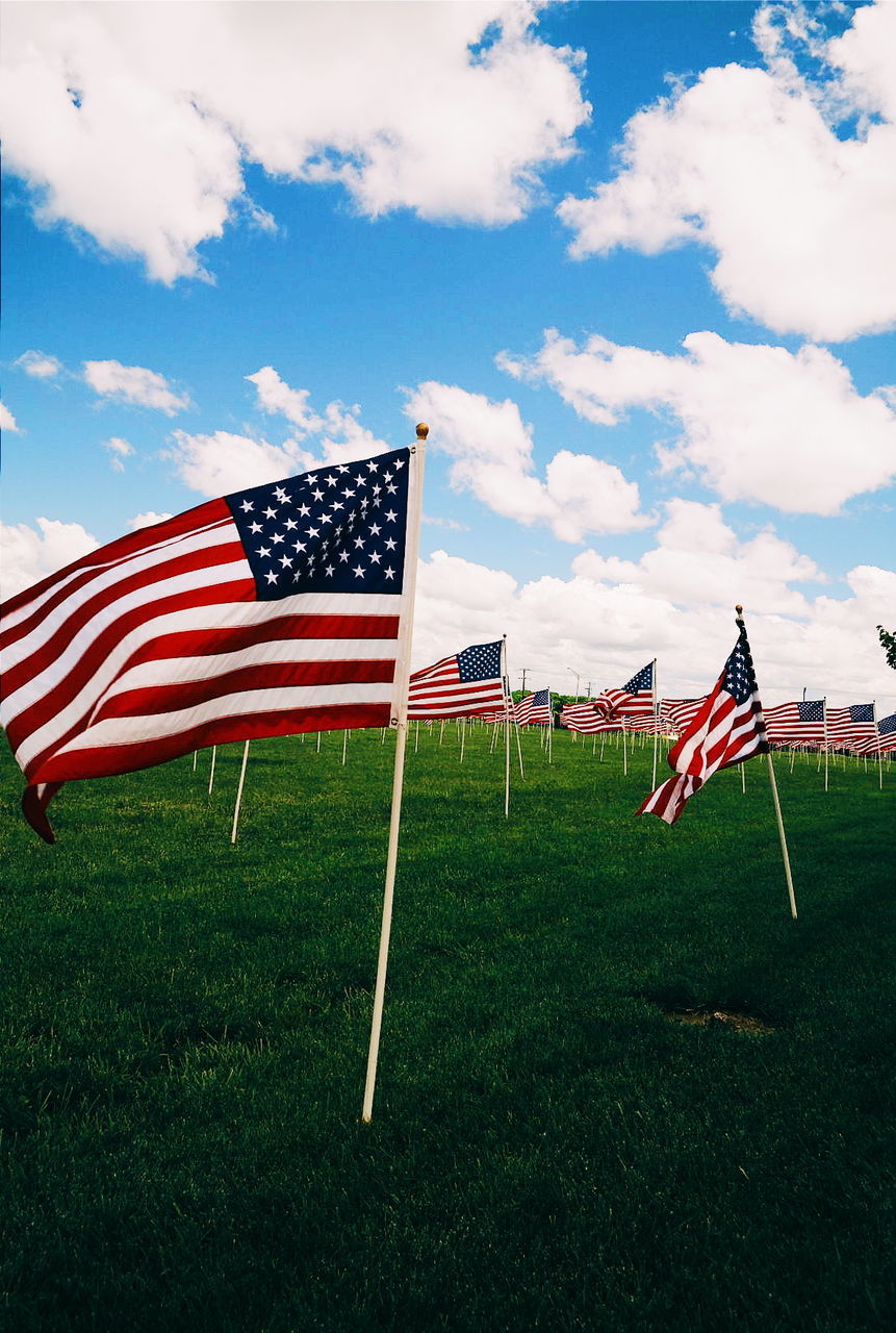 FLAGS ON FIELD AGAINST SKY