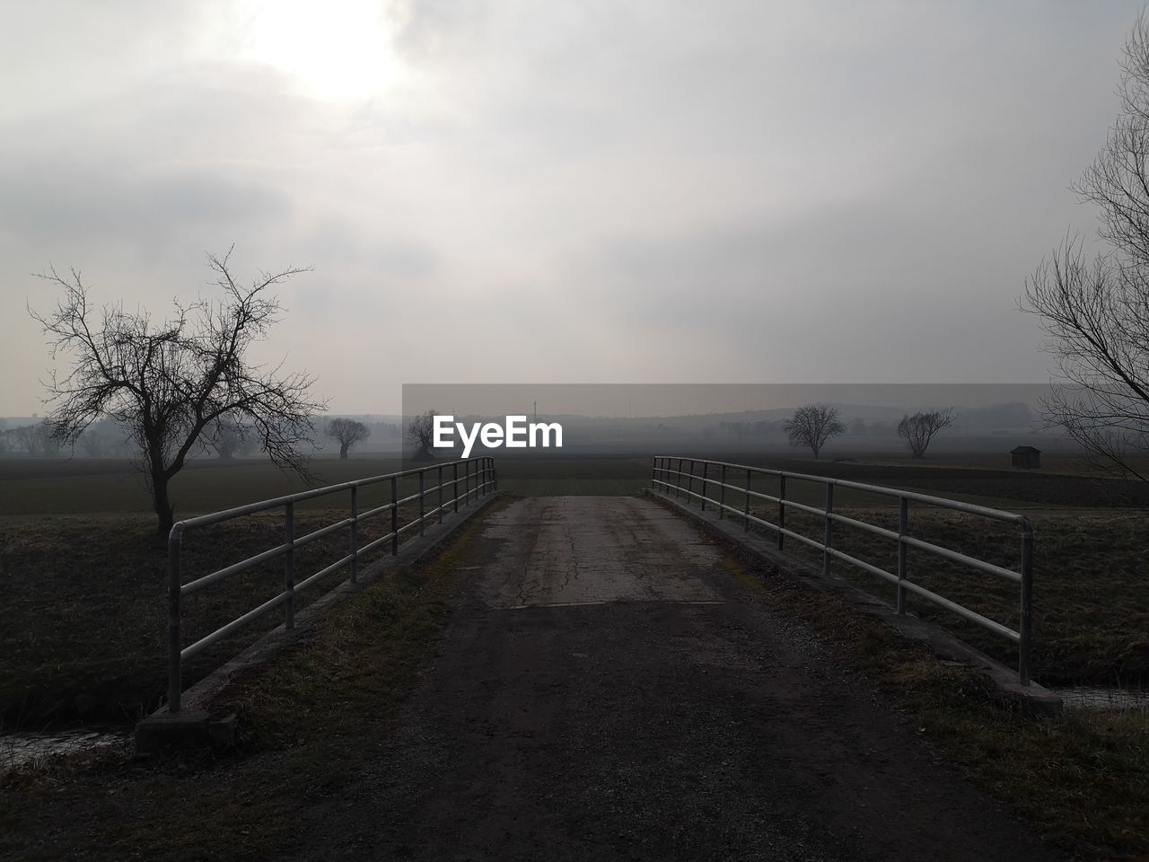 SCENIC VIEW OF BARE TREES DURING FOGGY WEATHER