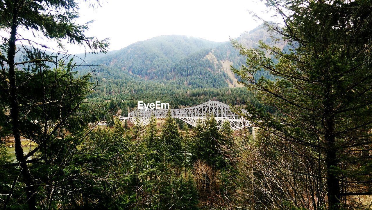 Bridge of the gods amidst trees against mountains