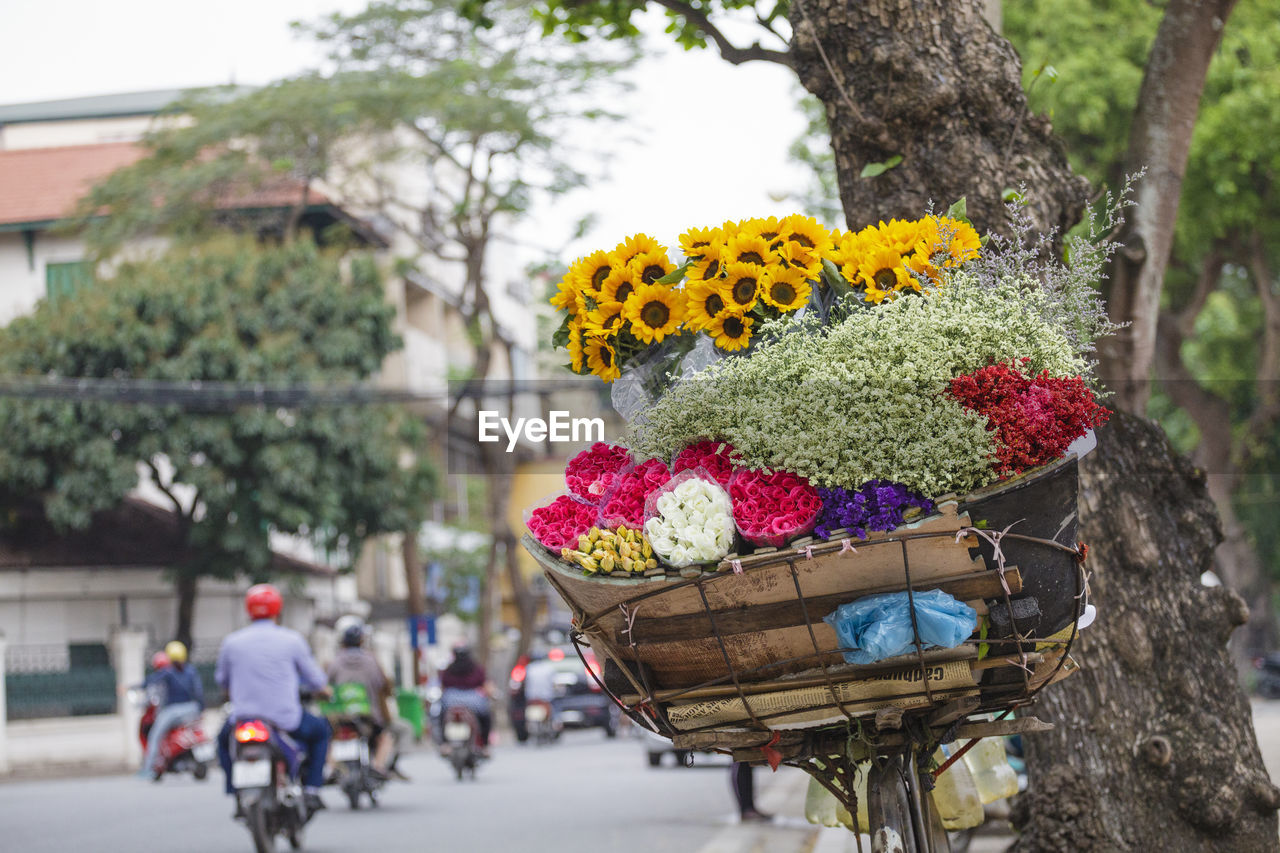 Close-up of flowers for sale on bicycle