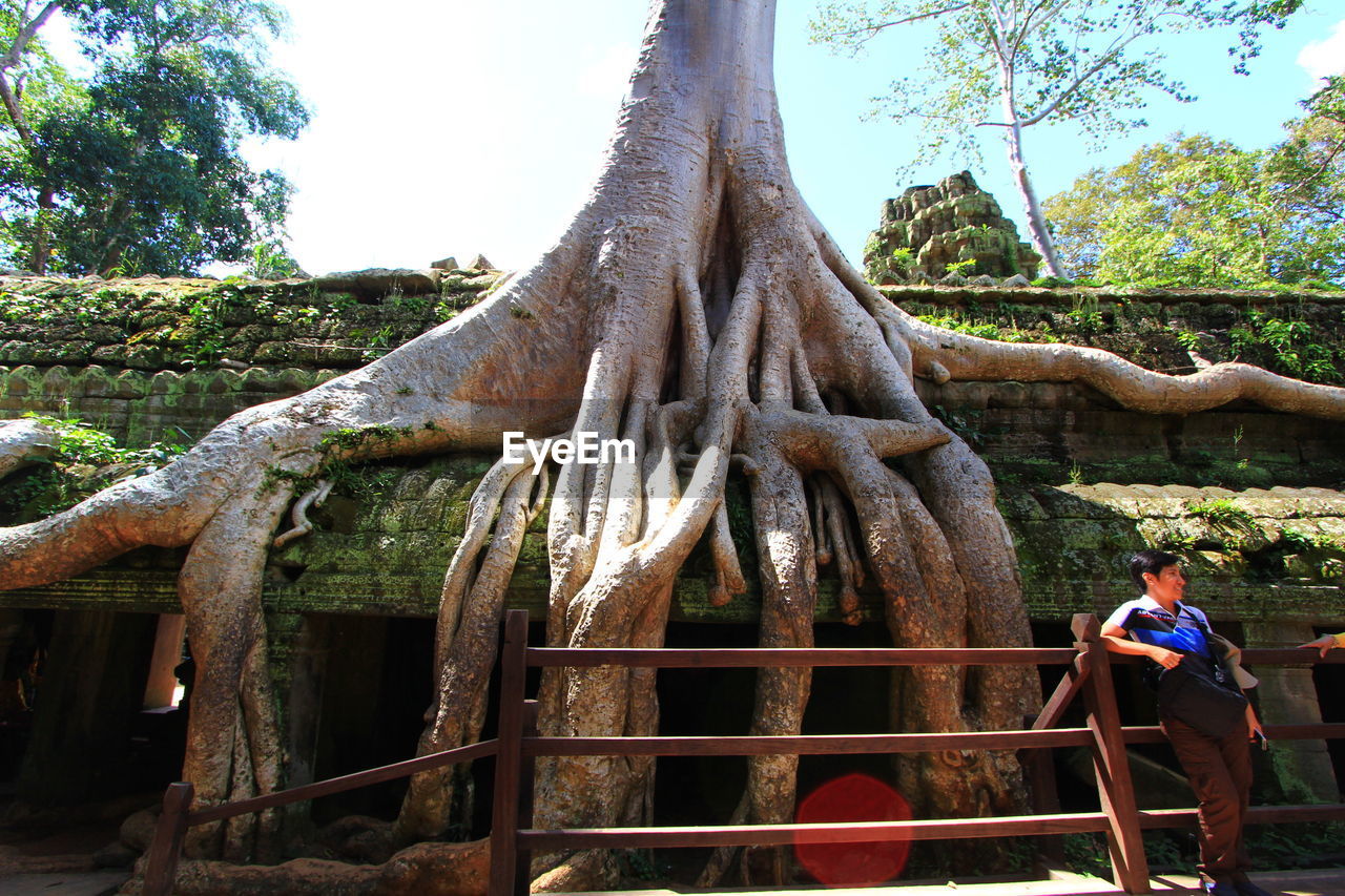 FULL LENGTH OF MAN SITTING ON TREE TRUNK