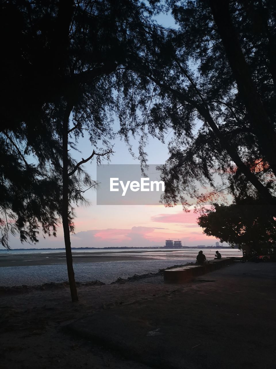 SILHOUETTE TREE ON BEACH AGAINST SKY DURING SUNSET