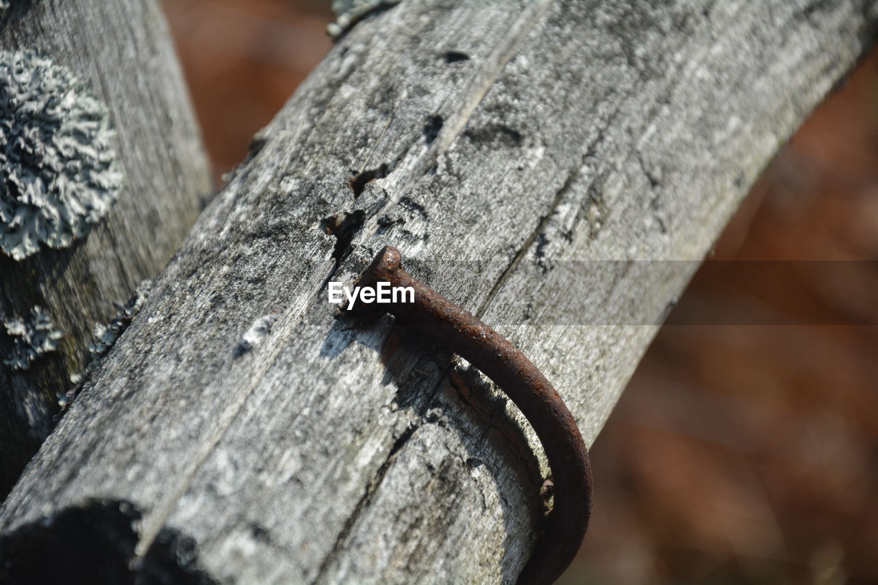 HIGH ANGLE VIEW OF RUSTY METALLIC WOOD