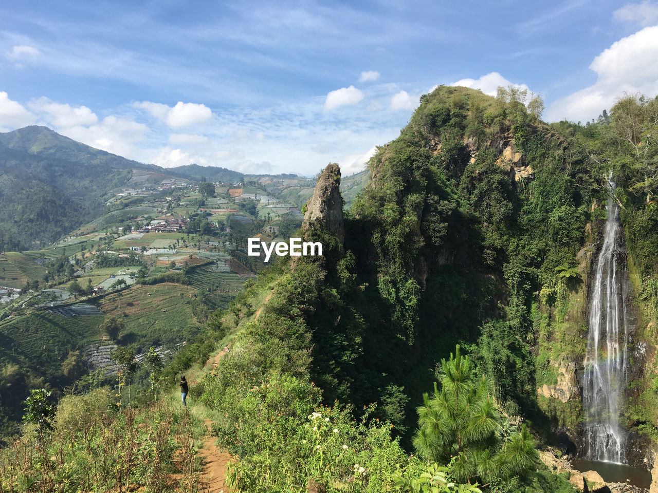 PANORAMIC SHOT OF TREES ON LAND AGAINST SKY