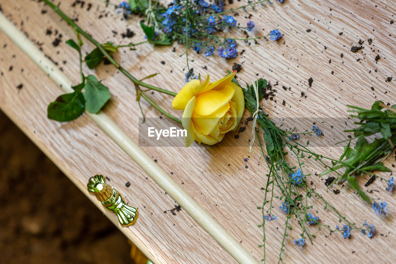 HIGH ANGLE VIEW OF YELLOW FLOWER ON TABLE