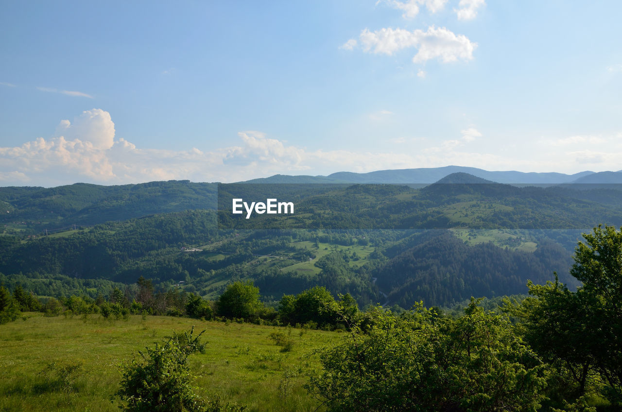 Meadow, hills, valleys and mountains with lush trees