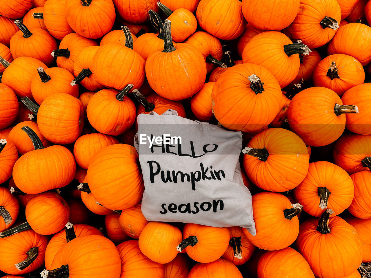 HIGH ANGLE VIEW OF PUMPKINS FOR SALE AT MARKET