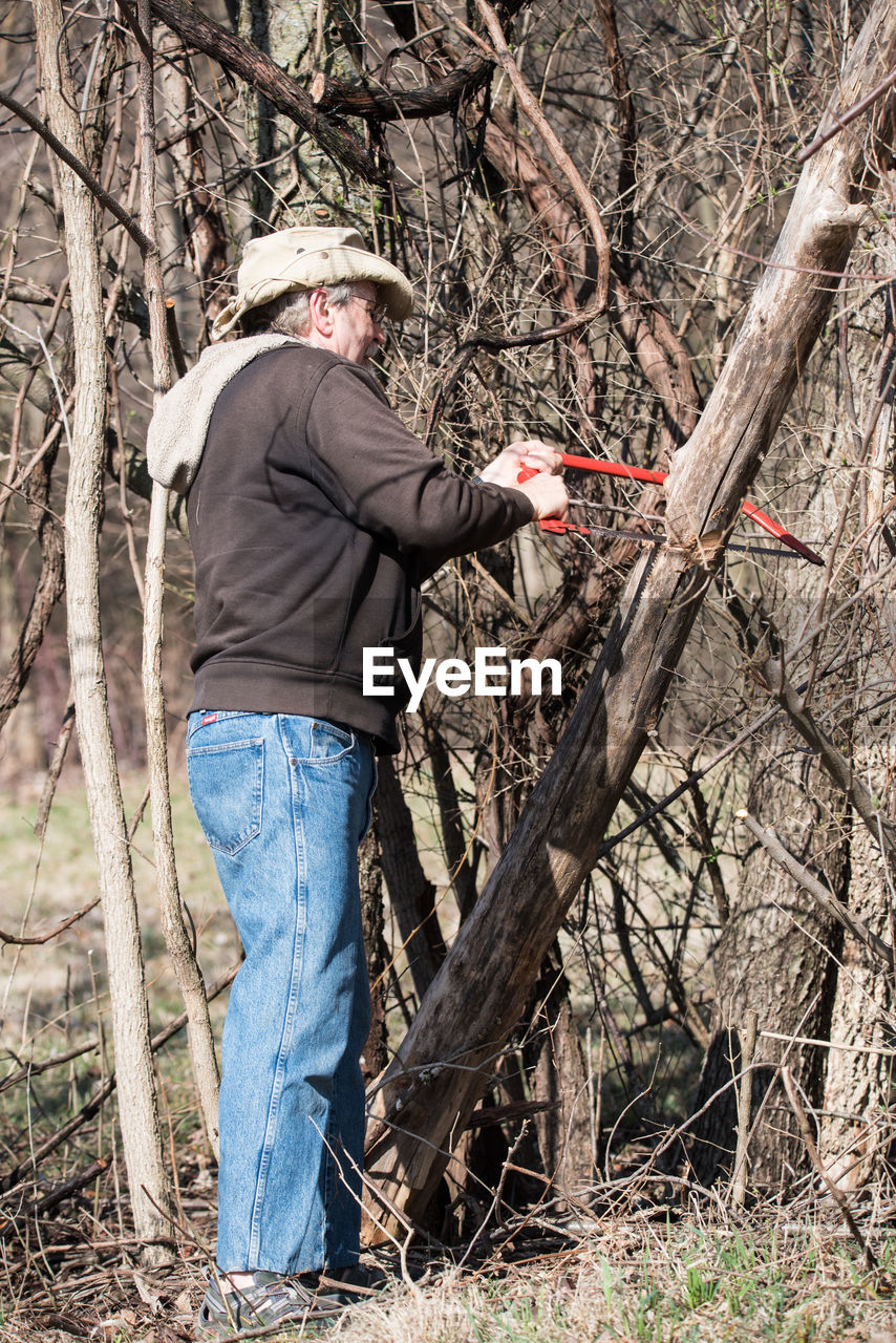 Low section of man trimming bare trees in forest
