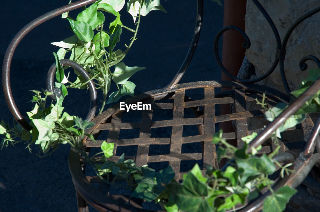 HIGH ANGLE VIEW OF POTTED PLANT ON METAL