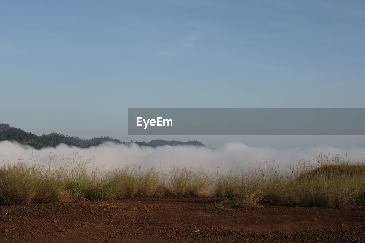 SCENIC VIEW OF FOGGY FIELD AGAINST SKY