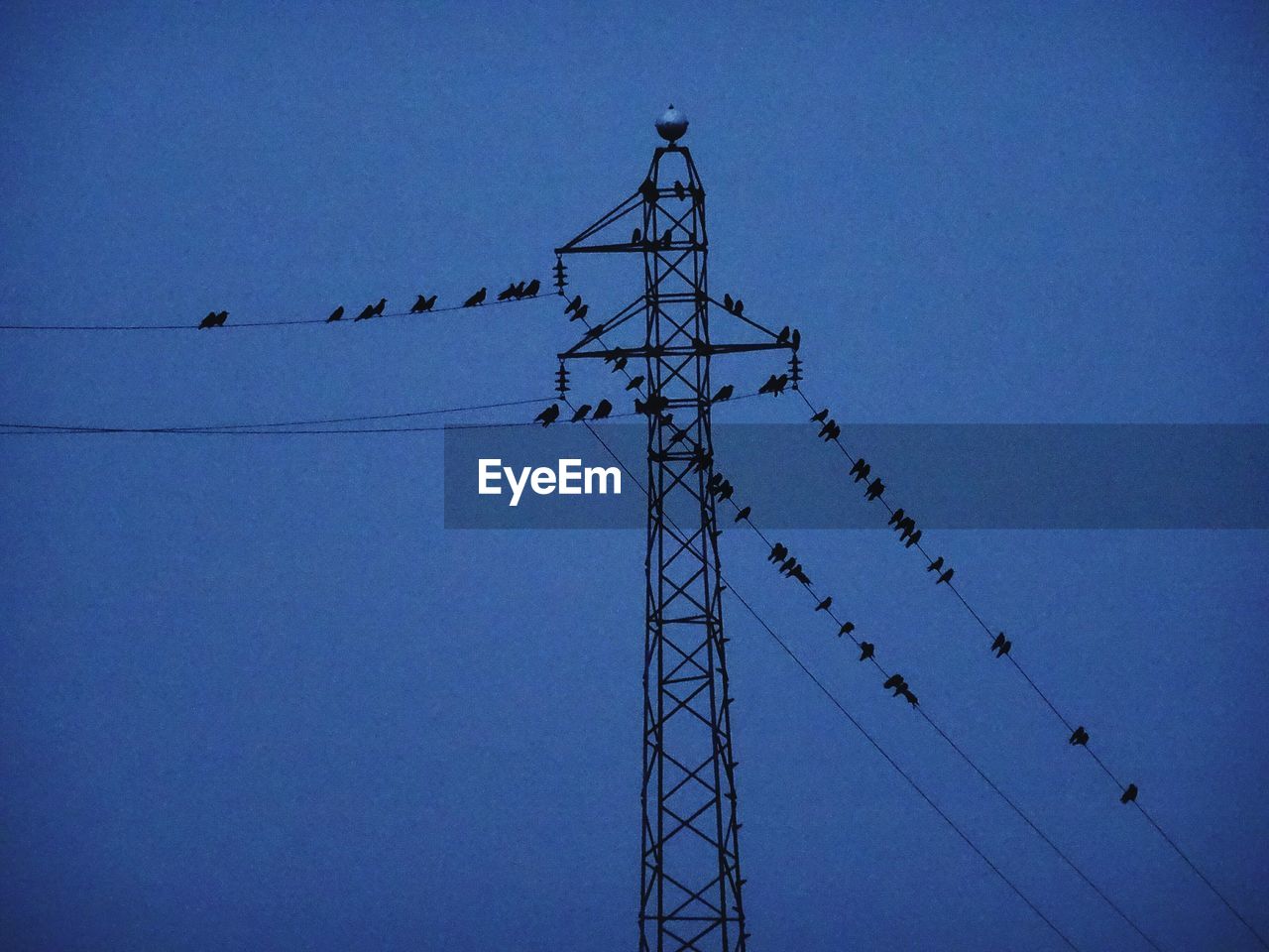 LOW ANGLE VIEW OF SILHOUETTE ELECTRICITY PYLON AGAINST CLEAR SKY