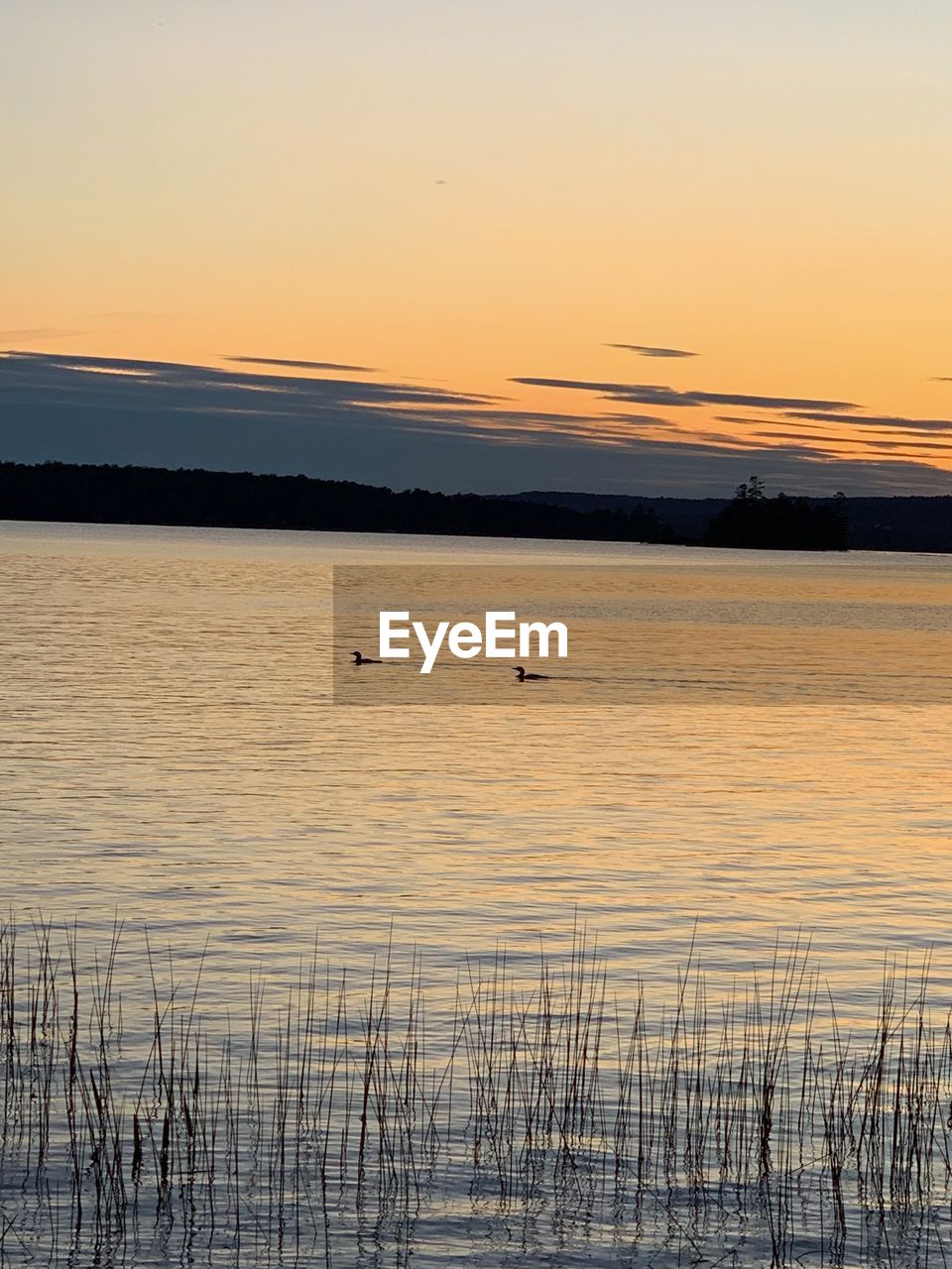 SCENIC VIEW OF LAKE DURING SUNSET