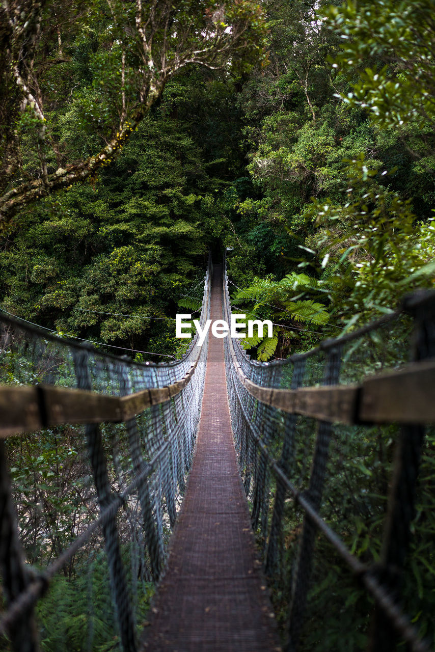 Footbridge in forest