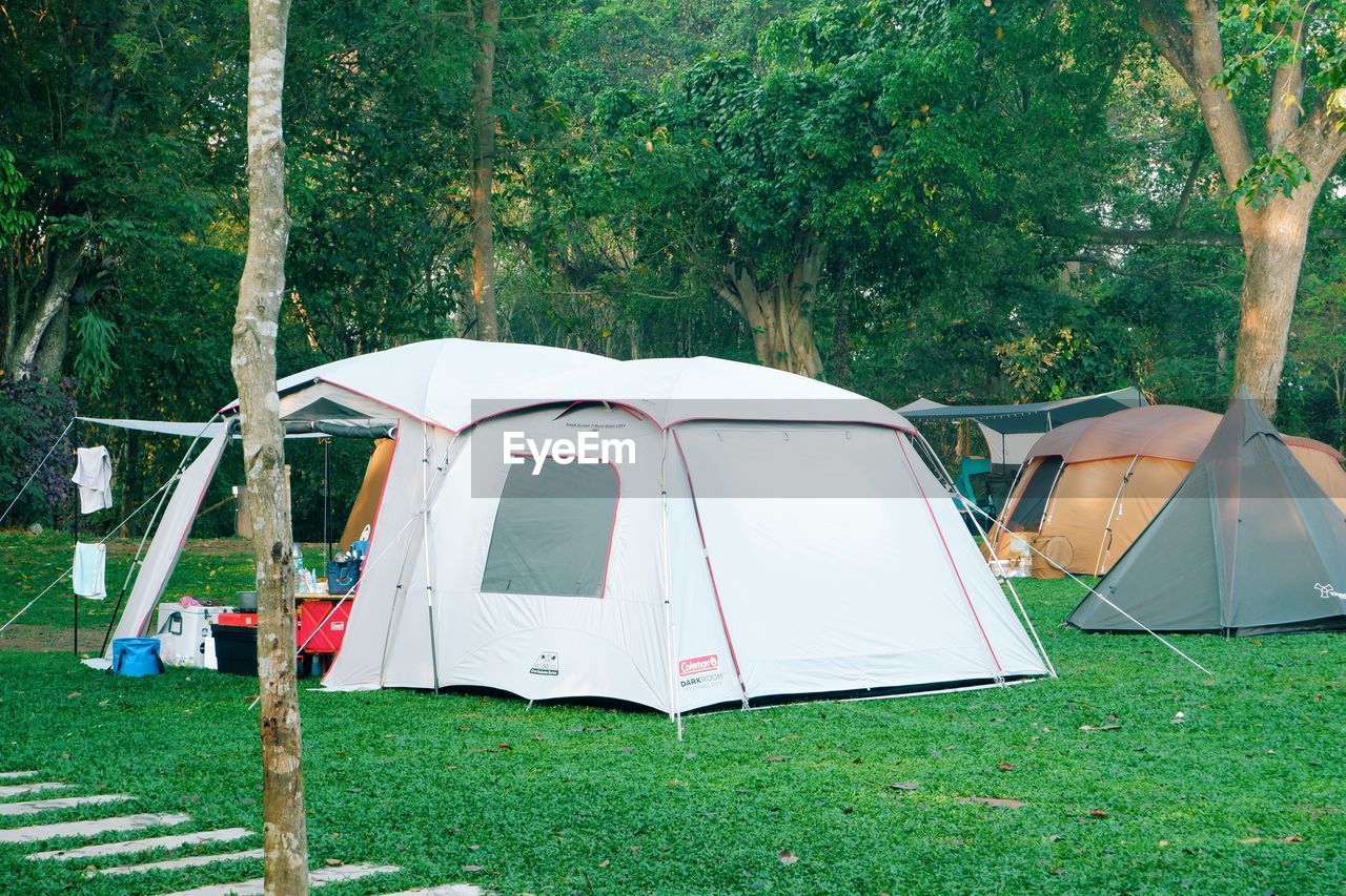 TENT IN FIELD